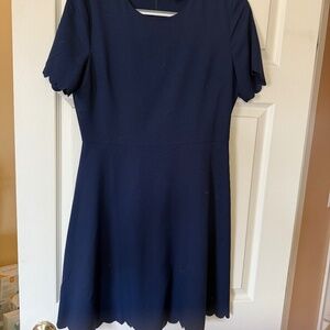 Navy Banana Republic Dress